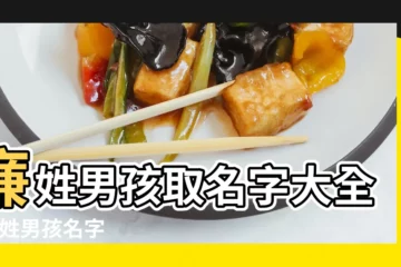 【廉姓男孩子名字大全】廉姓男孩取名字大全 |廉姓男孩名字 |帶廉字的男孩名字 |