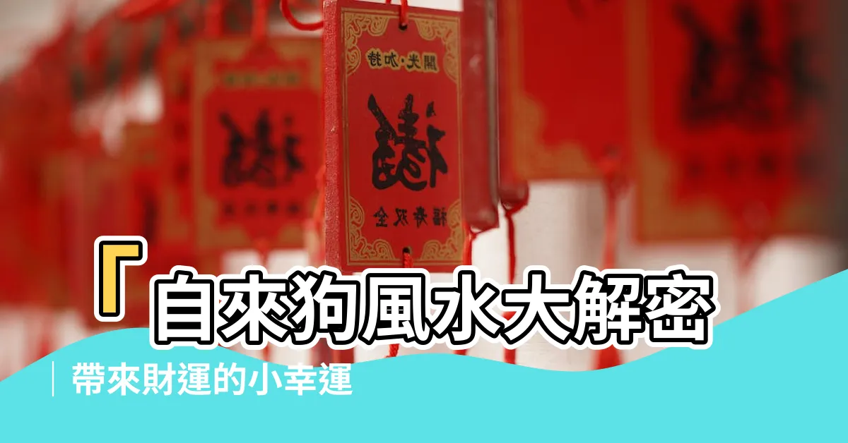 【自來狗】「自來狗風水大解密｜帶來財運的小幸運」