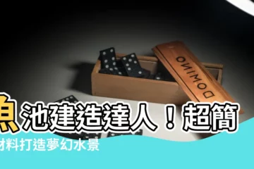 【魚池建造】魚池建造達人！超簡單材料打造夢幻水景