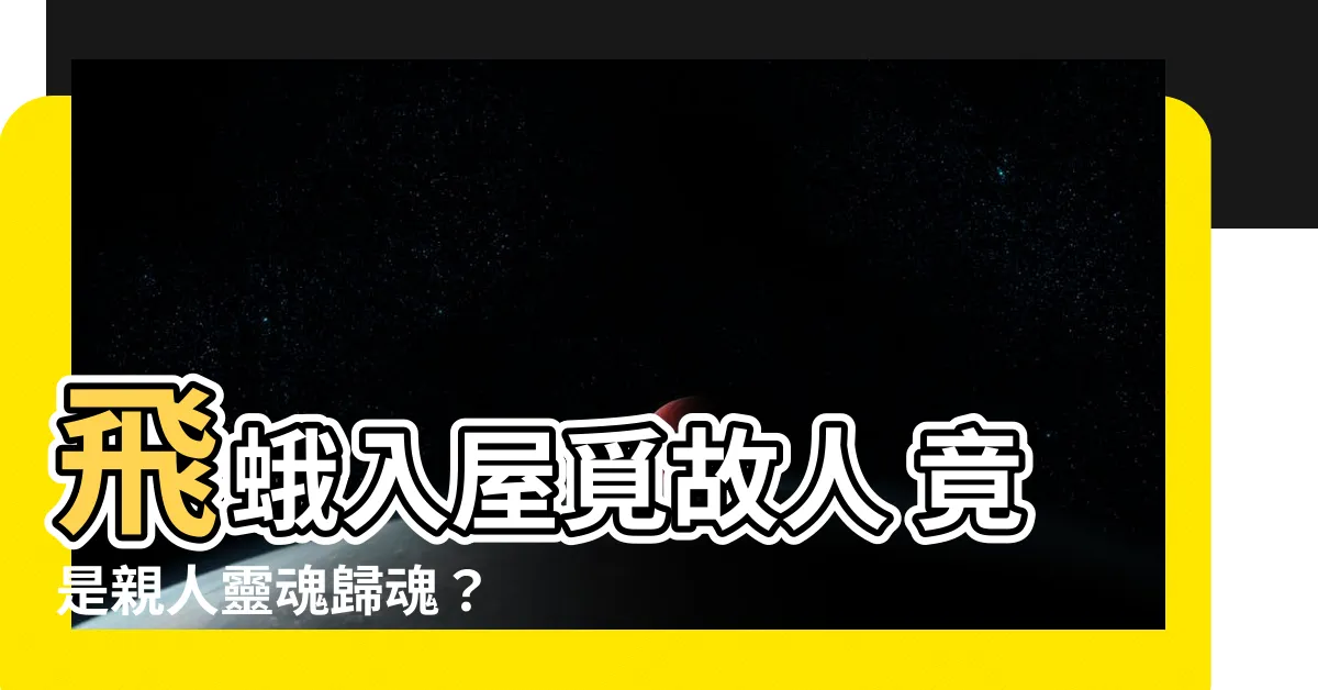 【飛蛾入屋親人】飛蛾入屋覓故人 竟是親人靈魂歸魂？