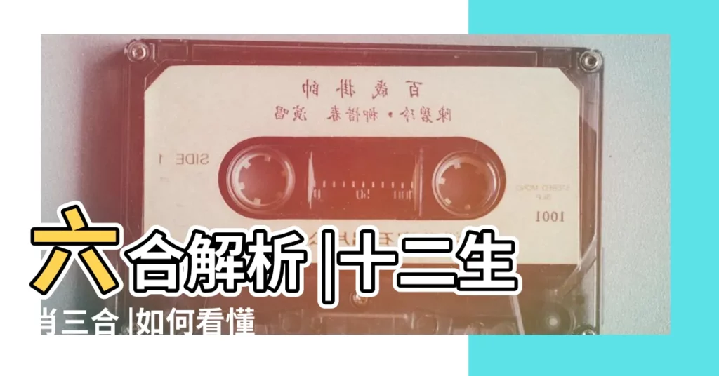 六合解析 |十二生肖三合 |如何看懂生肖和八字 |【2條褲子指什麼生肖】