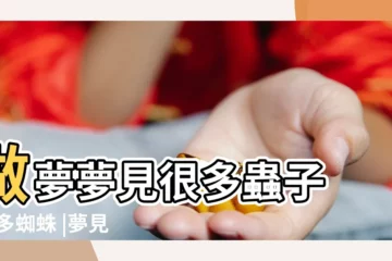 【夢見蜘蛛和蟲子在家裏】做夢夢見很多蟲子 |很多蜘蛛 |夢見蜘蛛 |