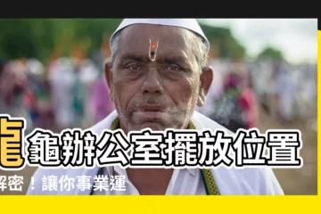 【龍龜辦公室擺放位置】龍龜辦公室擺放位置大解密！讓你事業運錢途無量