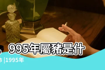 【1995年屬豬的五行】1995年屬豬是什麼命 |1995年到底是木還是火五行屬性 |1995年五行屬什麼命五行缺什麼生肖豬的性格分析 |