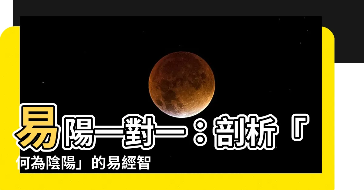 【易陽一對一】易陽一對一：剖析「何為陰陽」的易經智慧