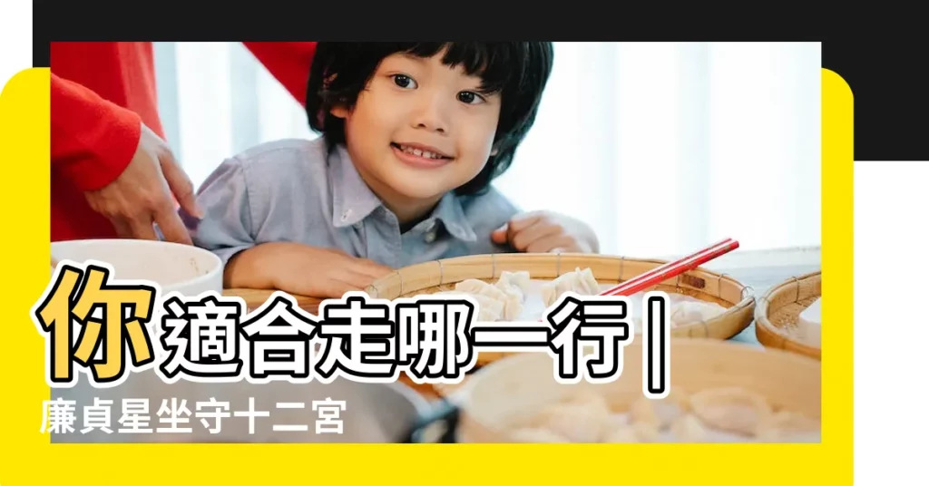 你適合走哪一行 |廉貞星坐守十二宮 |事業宮立刻點出方向 |【大運 廉貞 文昌 事業宮】
