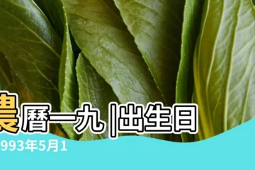 【1993年5月16曰出生】農曆一九 |出生日期1993年5月16日測命運 |1993年5月16日出生的人生辰八字測算 |