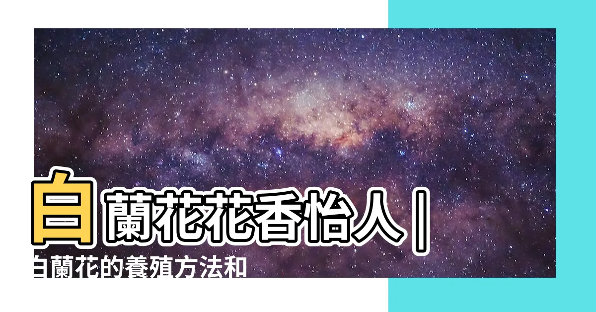 【白蘭花種植】白蘭花花香怡人 |白蘭花的養殖方法和注意事項 |白蘭花又香又好看 |
