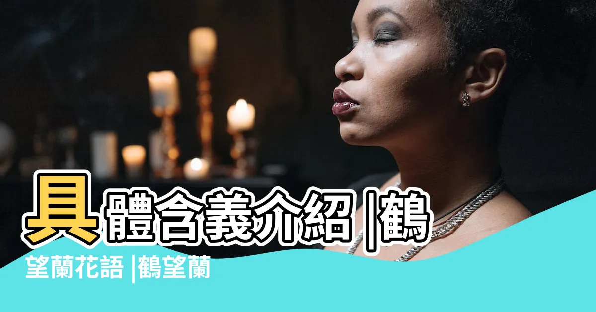【鶴望蘭花語】具體含義介紹 |鶴望蘭花語 |鶴望蘭花語是什麼 |