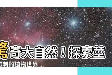 【莖有刺的植物】驚奇大自然！探索莖上帶刺的植物世界