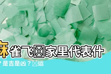 【麻雀飛進家裏代表什麼】麻雀飛進家裏代表什麼？是吉是兇？財運暗示分析！