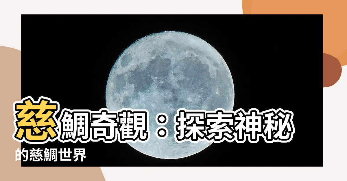 【慈鯛】慈鯛奇觀：探索神秘的慈鯛世界