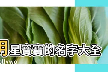 【名星兒女的可愛名字大全】明星寶寶的名字大全 |Hollywood明星為寶寶取的一些怪名字大全 |盤點明星寶寶乳名 |