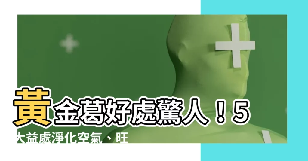 【黃金葛好處】黃金葛好處驚人！5大益處淨化空氣、旺運開運，不可不知！