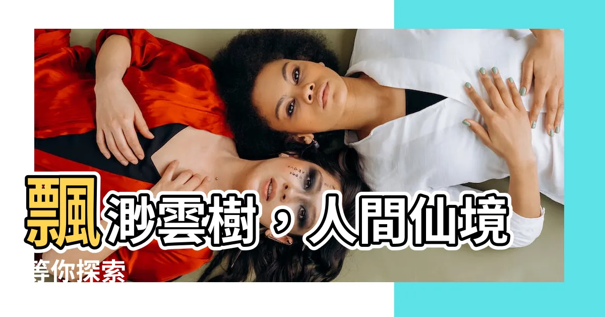 【雲樹】飄渺雲樹，人間仙境等你探索