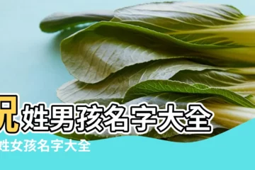 【祝姓搞笑名字大全】祝姓男孩名字大全 |祝姓女孩名字大全 |祝姓好名字 |