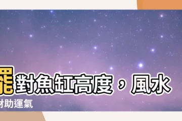 【魚缸高度 風水】擺對魚缸高度，風水旺財助運氣