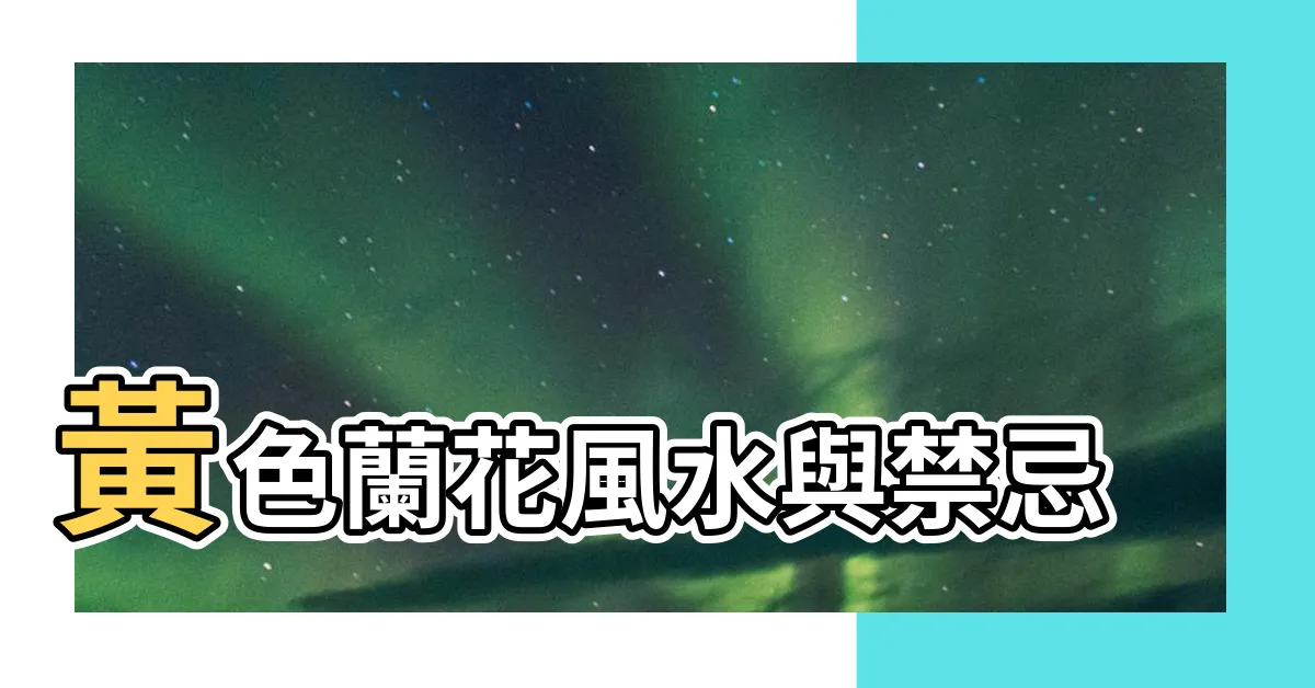 【黃色蘭花風水】黃色蘭花風水與禁忌