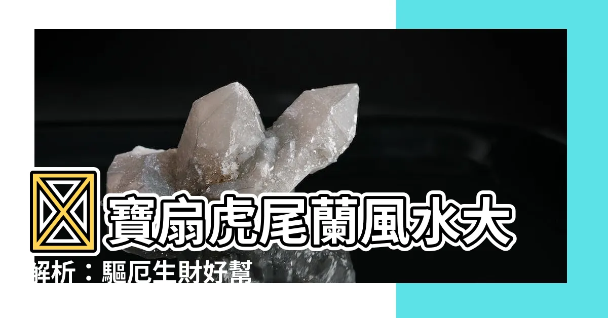 【寶扇虎尾蘭風水】🔥寶扇虎尾蘭風水大解析：驅厄生財好幫手，守護你的家宅安寧！