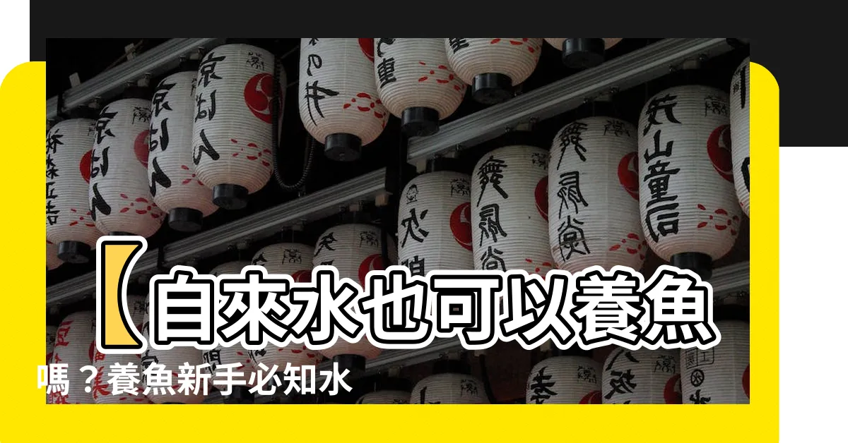 【自來水可以養魚嗎】【自來水也可以養魚嗎？養魚新手必知水質關鍵】
