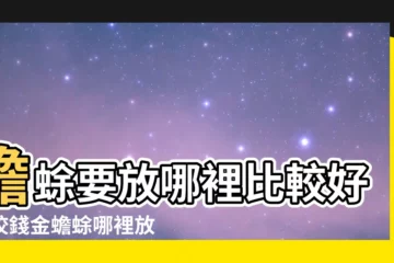 【蟾蜍 要 放 哪裡 比較 好】蟾蜍要放哪裡比較好？咬錢金蟾蜍哪裡放才有效？