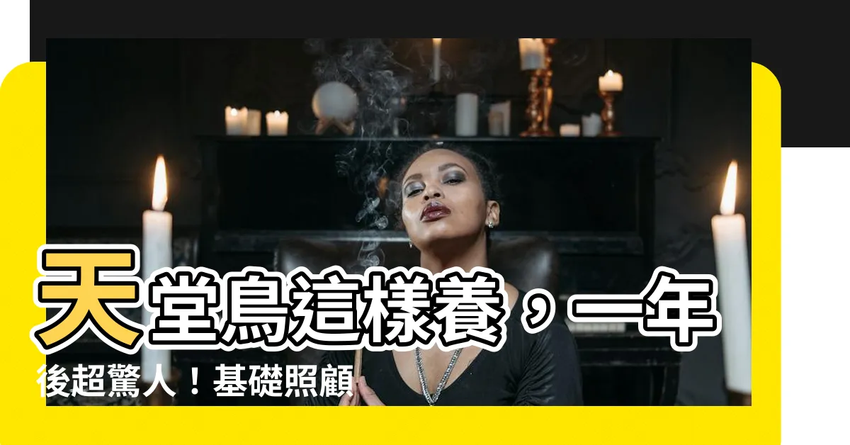 【天堂鳥照顧】天堂鳥這樣養，一年後超驚人！基礎照顧攻略一次看