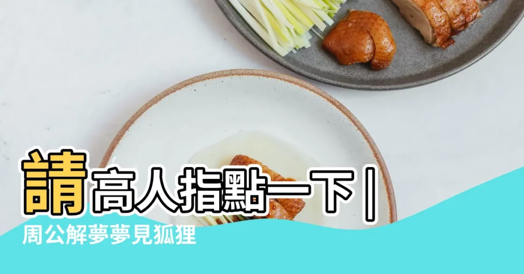 請高人指點一下 |周公解夢夢見狐狸 |還流了一點血 |【夢到狐狸要攻擊我流血】