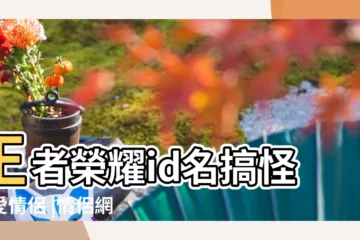 【情侶名什麼王什麼後】王者榮耀id名搞怪可愛情侶 |情侶網名 |一些甜甜又可愛の情侶網名 |
