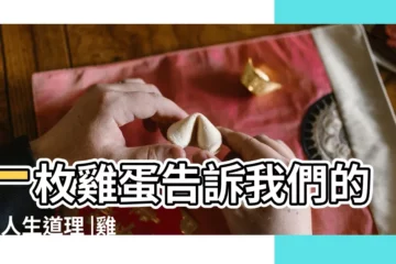 【小雞破殼而出告訴我們什麼道理】一枚雞蛋告訴我們的5個人生道理 |雞蛋哲學 |小雞破殼告訴我們的道理 |