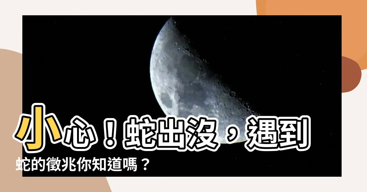 【遇到蛇 徵兆】小心！蛇出沒，遇到蛇的徵兆你知道嗎？