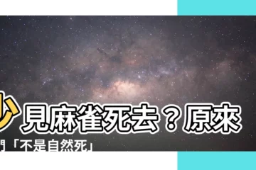【看到麻雀死掉】少見麻雀死去？原來牠們「不是自然死」！揭秘麻雀驚人壽命