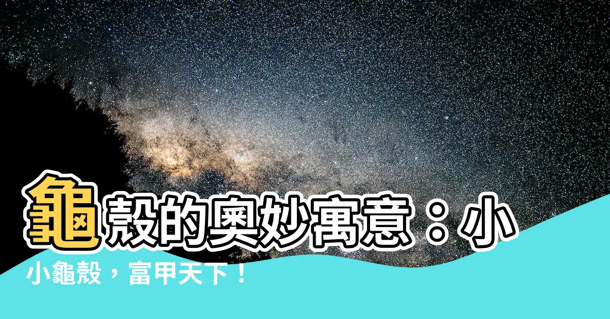 【龜殼寓意】龜殼的奧妙寓意：小小龜殼，富甲天下！