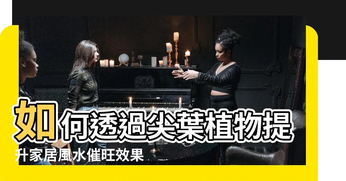 【尖葉植物】如何透過尖葉植物提升家居風水催旺效果！