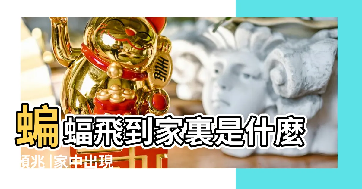 【蝙蝠代表什麼】蝙蝠飛到家裏是什麼預兆 |家中出現 |即將發大財 |