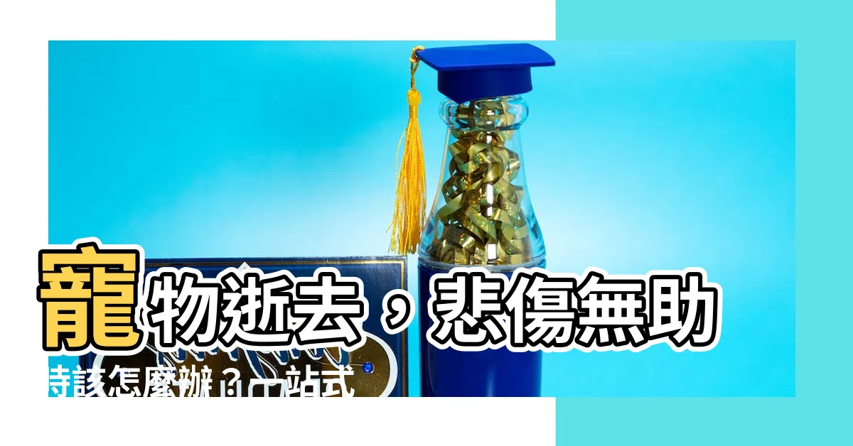 【寵物死亡】寵物逝去，悲傷無助時該怎麼辦？一站式指南，助您安撫心靈