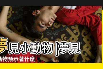 【夢見小動物變得特別大】夢見小動物 |夢見小動物預示著什麼 |命理師解析 |
