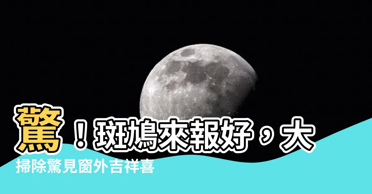【斑鳩風水】驚！斑鳩來報好，大掃除驚見窗外吉祥喜兆