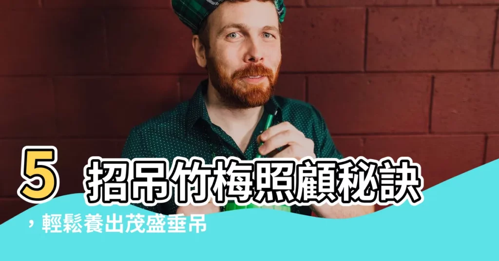 【吊竹梅照顧】5招吊竹梅照顧秘訣，輕鬆養出茂盛垂吊綠意