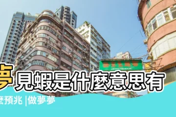 【周公解夢夢見青蝦】夢見蝦是什麼意思有什麼預兆 |做夢夢見蝦好不好 |做夢夢見蝦好不好 |