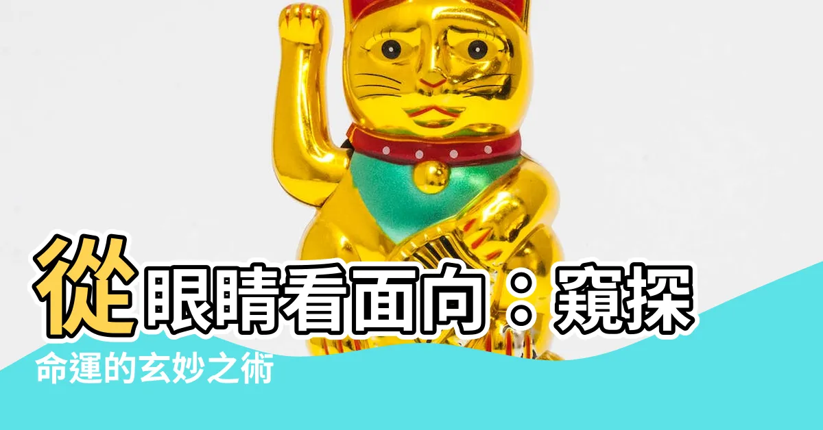 【眼睛 面向】從眼睛看面向：窺探命運的玄妙之術