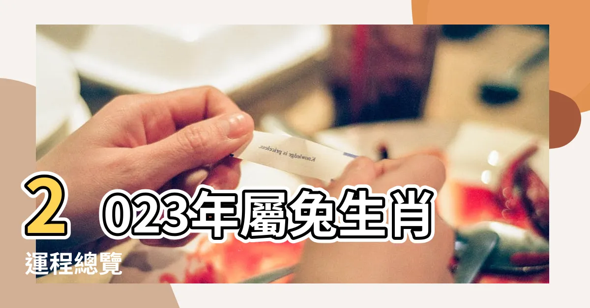 【2023年生肖運程兔】2023年屬兔生肖運程總覽