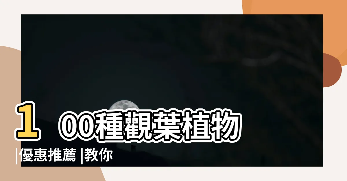 【觀賞芋】100種觀葉植物 |優惠推薦 |教你養出網美感爆發的夢幻 |