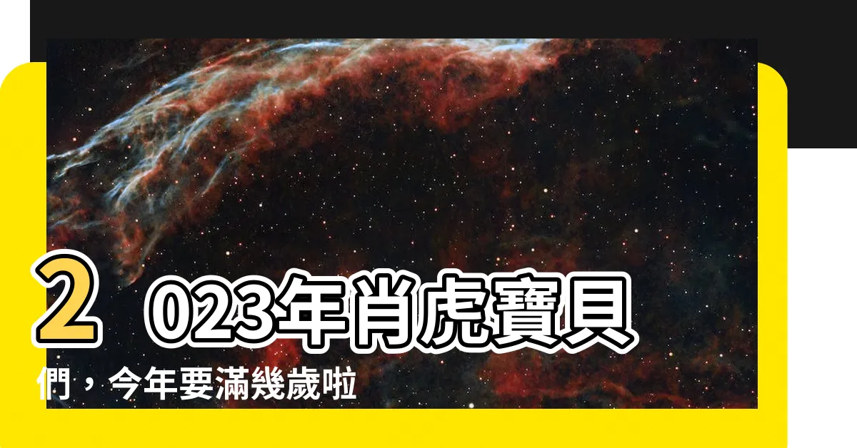 【2023屬虎幾歲】2023年肖虎寶貝們，今年要滿幾歲啦？