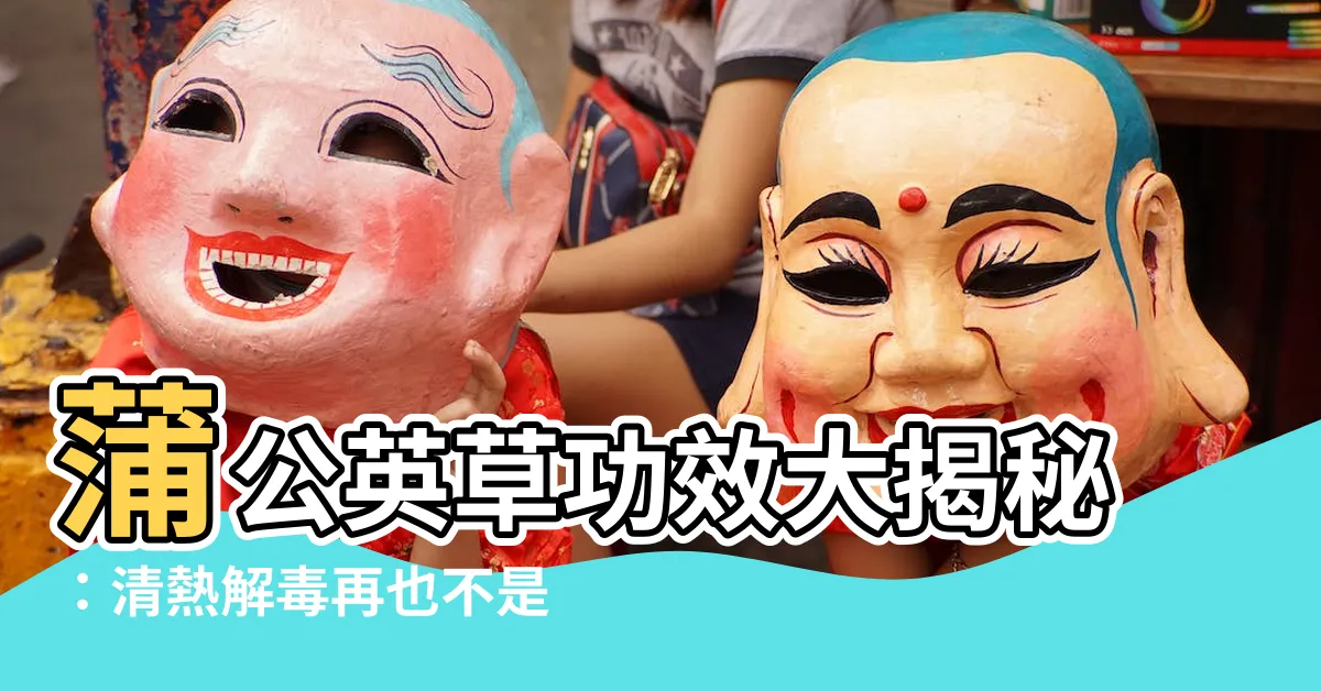 【蒲公英草功效】蒲公英草功效大揭秘：清熱解毒再也不是夢