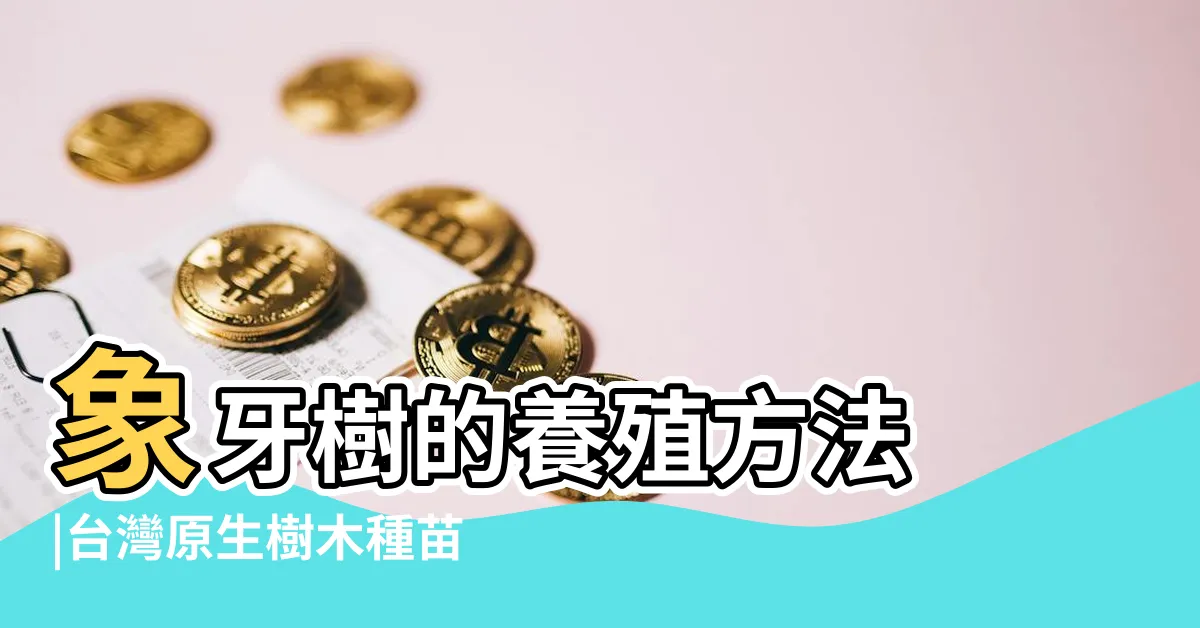 【象牙樹種植】象牙樹的養殖方法 |台灣原生樹木種苗網 |