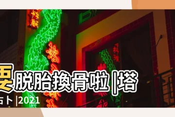 【塔羅 真緣】要脱胎換骨啦 |塔羅占卜 |2021年你的真命天子會在哪些 |