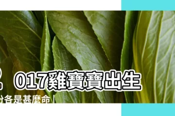 【2017年出生寶寶運勢】2017雞寶寶出生月份各是甚麼命 |2017年屬雞幾月出生好雞寶寶幾月出生命最好 |2017年雞寶寶幾月出生命運最好 |