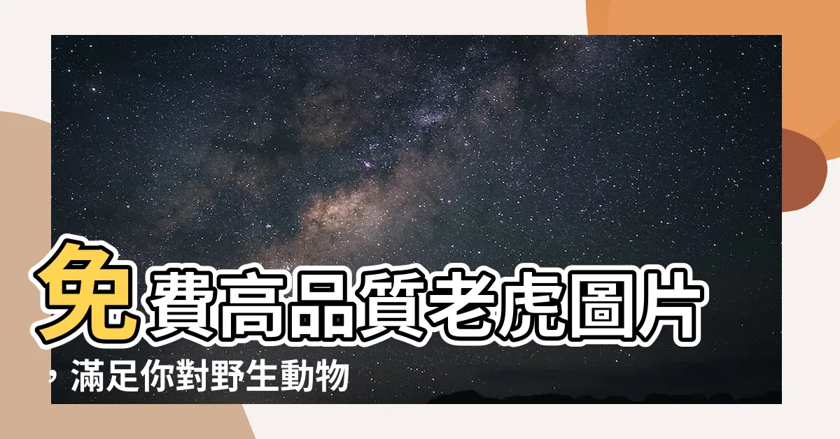 【老虎圖】免費高品質老虎圖片，滿足你對野生動物的探索慾望