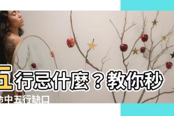 【五行忌什麼】五行忌什麼？教你秒懂命中五行缺口