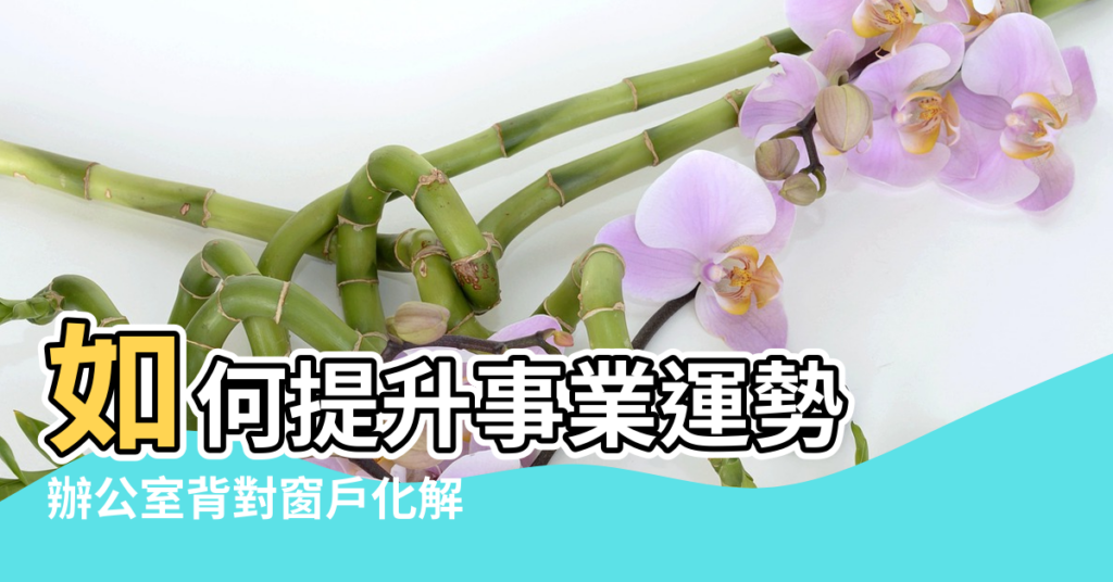 【風水 辦公椅背對窗子 化解】如何提升事業運勢 |辦公室背對窗戶化解 |辦公桌背靠窗戶風水好不好 |